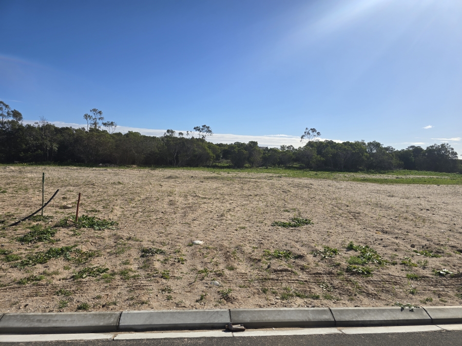 0 Bedroom Property for Sale in Brittania Beach Estate Western Cape